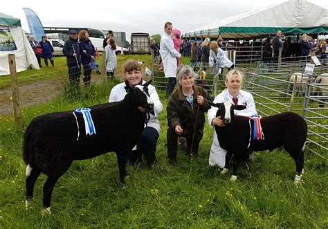 Great Harwood Show Results - ZSA - Zwartbles Sheep Association