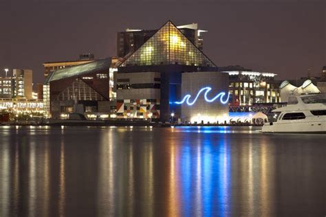 National Aquarium is one of the very best things to do in Baltimore