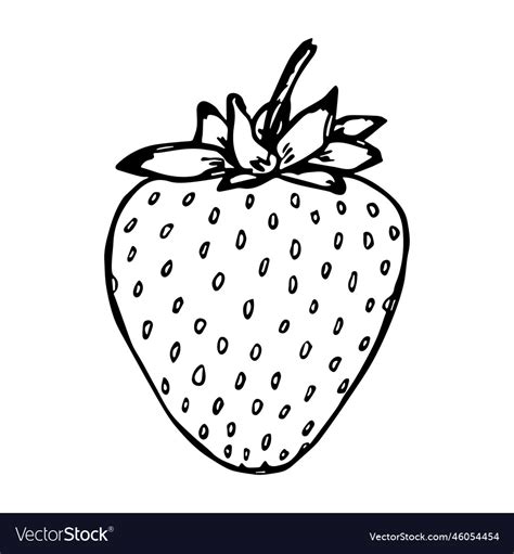 Strawberry Clip Art Black And White