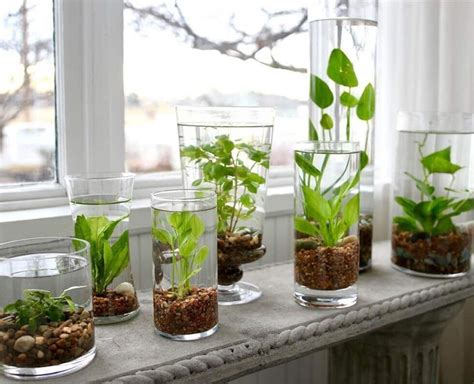 10 amazing indoor garden ideas to instantly refresh your space ...