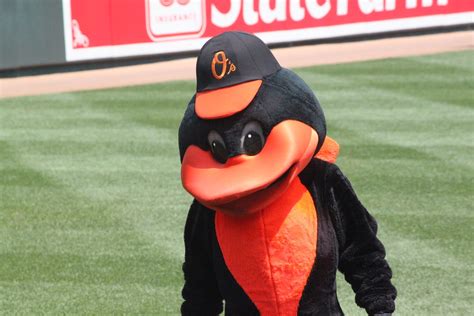 The Baltimore Orioles mascot before the game | He was playin… | Flickr