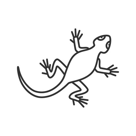 Lizard linear icon. Thin line illustration. Salamander. Contour symbol ...