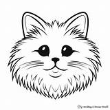 Cat Face Coloring Pages  Free & Printable sketch template