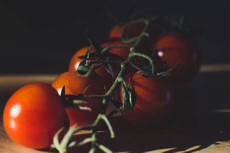 Ripe Tomatoes · Free Stock Photo