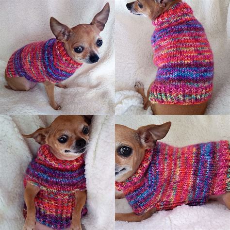 Extra Small Dog Sweater Knitting Pattern Free Web This List Of Dog Sweater Knitting Patterns Is ...