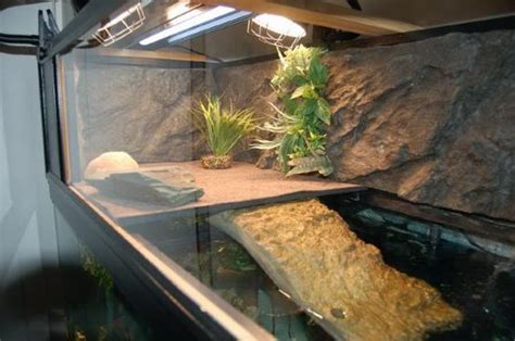 red eared slider tank ideas - Google Search | Turtle tank, Turtle aquarium, Turtle habitat