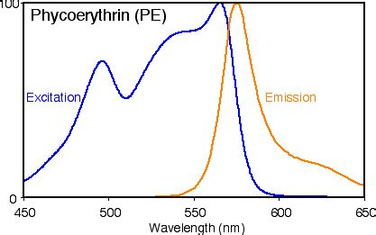 Phycoerythrin ~ Detailed Information | Photos | Videos