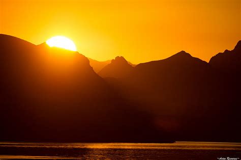 Lake Havasu Sunrise 2 Photograph by Avian Resources - Fine Art America