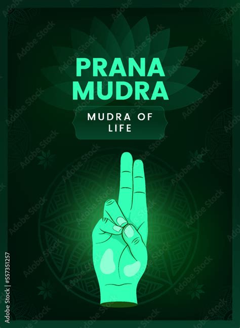 Prana Mudra Hand Gesture - Vector illustration Stock Vector | Adobe Stock