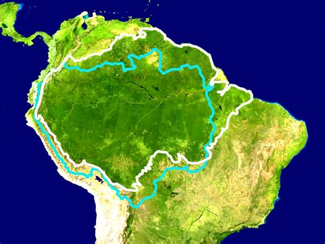 New study: The Amazon rainforest may become completely arid by 2064 - Travel Tomorrow