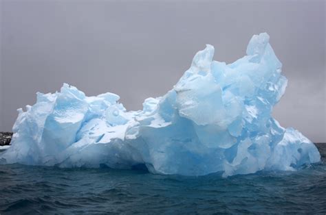 All About Icebergs - Beyond Penguins and Polar Bears