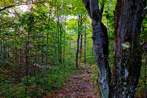 Wooded Trail - Muskoka Lakes Farm & Winery