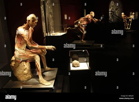 Bodies the exhibition hi-res stock photography and images - Alamy