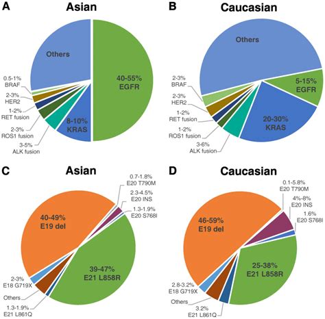 Determining EGFR-TKI sensitivity of G719X and other uncommon EGFR mutations in non-small cell ...