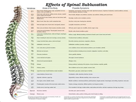 Effects and Symptoms of Spinal Vertebral Subluxation | Etsy Diy Beauty Face, Chiropractic ...