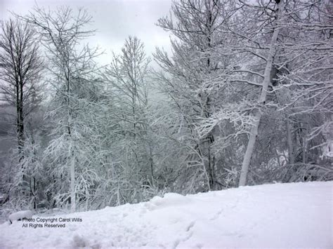 Winter Photos from Deep Creek Lake Maryland 2009