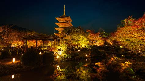 Toji temple by night, Kyoto Japan | Toji temple by night, Ky… | Flickr