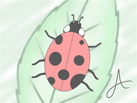 How to Draw a Ladybird: 8 Steps (with Pictures) - wikiHow