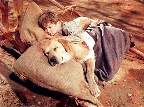 Kevin Corcoran as Arliss Coates in Old Yeller - Old Yeller Photo (38547197) - Fanpop