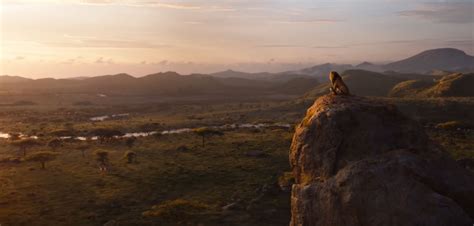 The Lion King (2019): Movie Review