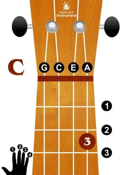 Basic Ukulele Chords For Beginners - Know Your Instrument