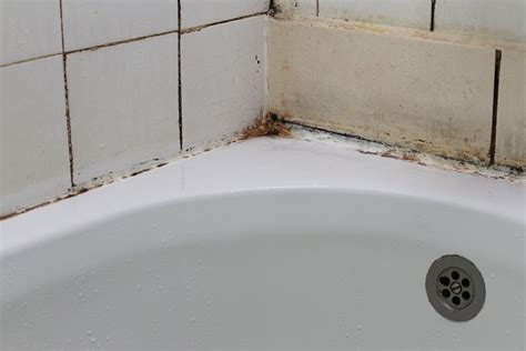 How To Remove Mold From Shower Caulking - Style Squeeze