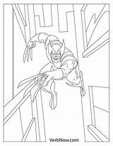Free WOLVERINE Coloring Pages For Download Printable PDF sketch template