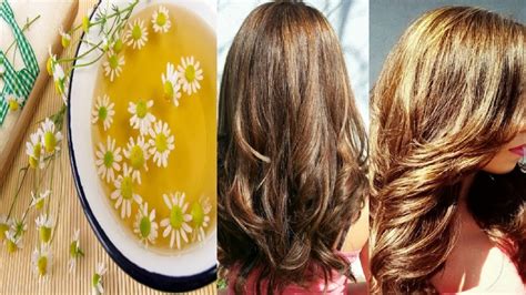 Aclara tu cabello lavándolo con manzanilla y limón | Walac Noticias