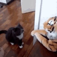 Cat Hitting Cute GIF - Cat Hitting Cat Cute - Discover & Share GIFs