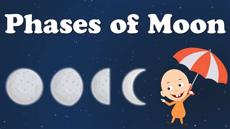 Phases of Moon | #aumsum #kids #education #science #learn - YouTube