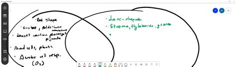 SOLVED: Chloroplast vs. Mitochondria: Similarities Chloroplast vs. Mitochondria: Differences ...