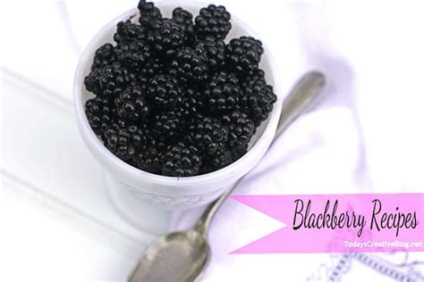 Blackberry Recipes | Today's Creative Life