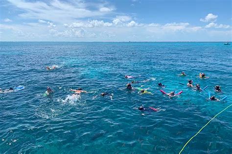 Florida Keys Snorkeling Tours - Florida Keys Plus