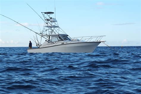 Ascension Island Blue Marlin Big Game Fishing | Boats | Pinterest ...