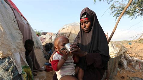 IOM Launches Somalia Emergency Appeal Amid Famine Warning