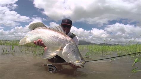 Fly Fishing Barra - Moldy Chum