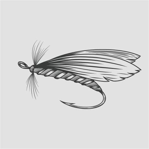 Dry fly Royalty Free Vector Image - VectorStock