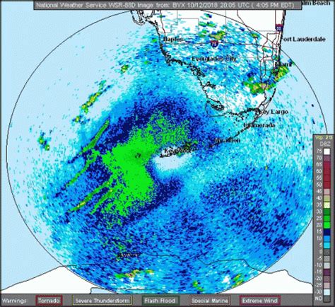 Key West Florida GIF - Key West Florida Weather - Discover & Share GIFs