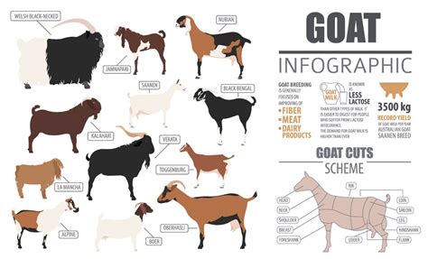 The Goat Breed Guide - The Happy Chicken Coop