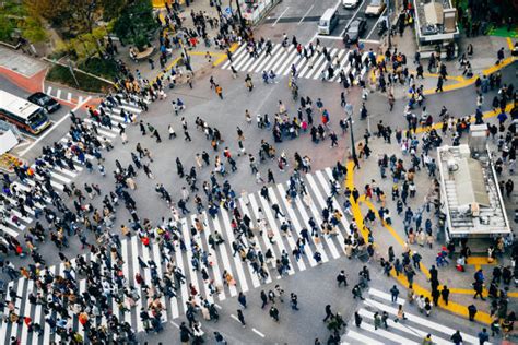 470+ Shibuya Crossing Aerial View Stock Photos, Pictures & Royalty-Free ...