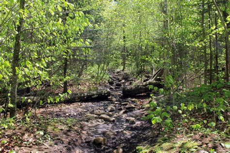 Start of the Hiking Trail in the Adirondack Mountains, New York image - Free stock photo ...