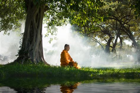 buddhist-monk-under-tree | Il Centro del Sé