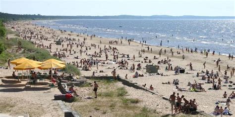 Estonia's TOP 10 holiday beaches | Top 10 beaches, Estonia travel, State forest