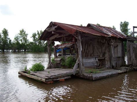 aaa8 | Louisiana swamp, Louisiana bayou, Bayou house