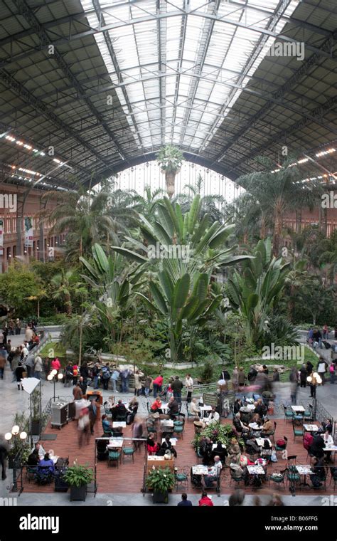 Tropical Garden in Atocha Railway Station Madrid Stock Photo - Alamy