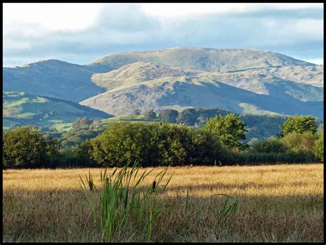 Wild and Wonderful: Nature Reserves ~ RSPB Ynys Hir, Mid-Wales