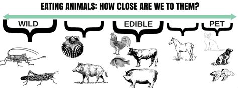 Eating animals: how close are we to them? - EntoMove Project