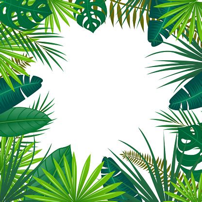 Vector Background With Tropical Leaves Stock Illustration - Download ...