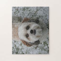 Cute Shih Tzu Underbite Puzzle | Zazzle