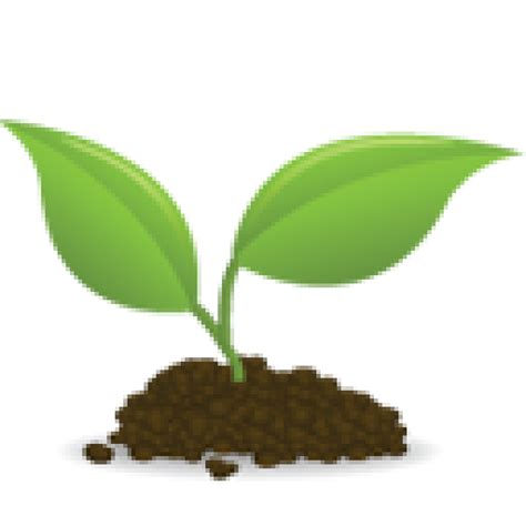 Planting clipart sprout, Planting sprout Transparent FREE for download on WebStockReview 2024